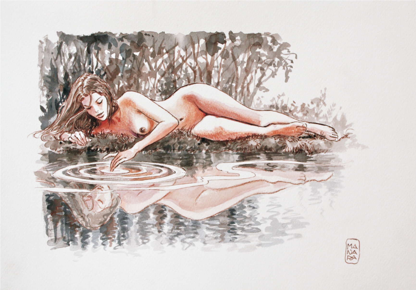 Image galerie
