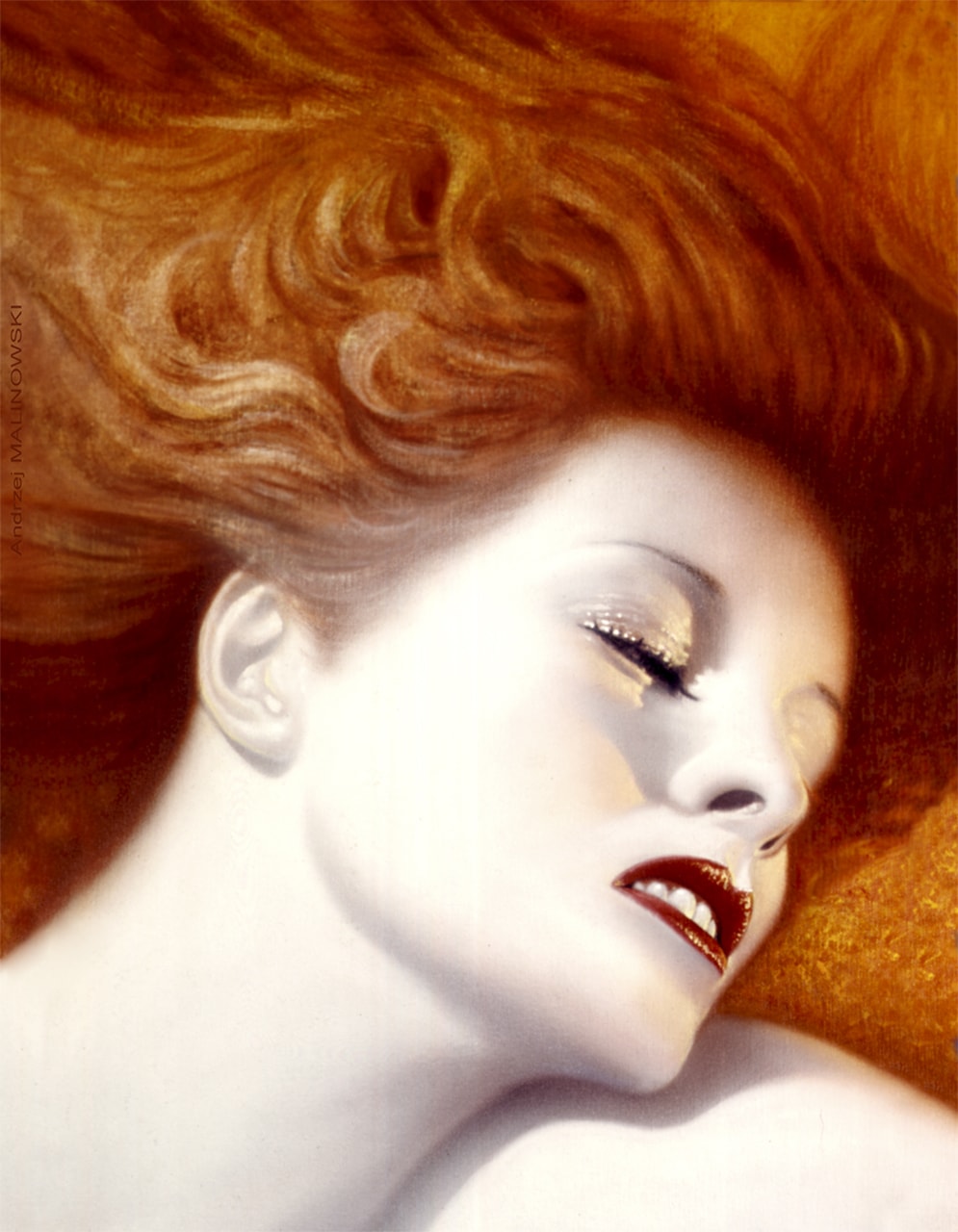 Image galerie