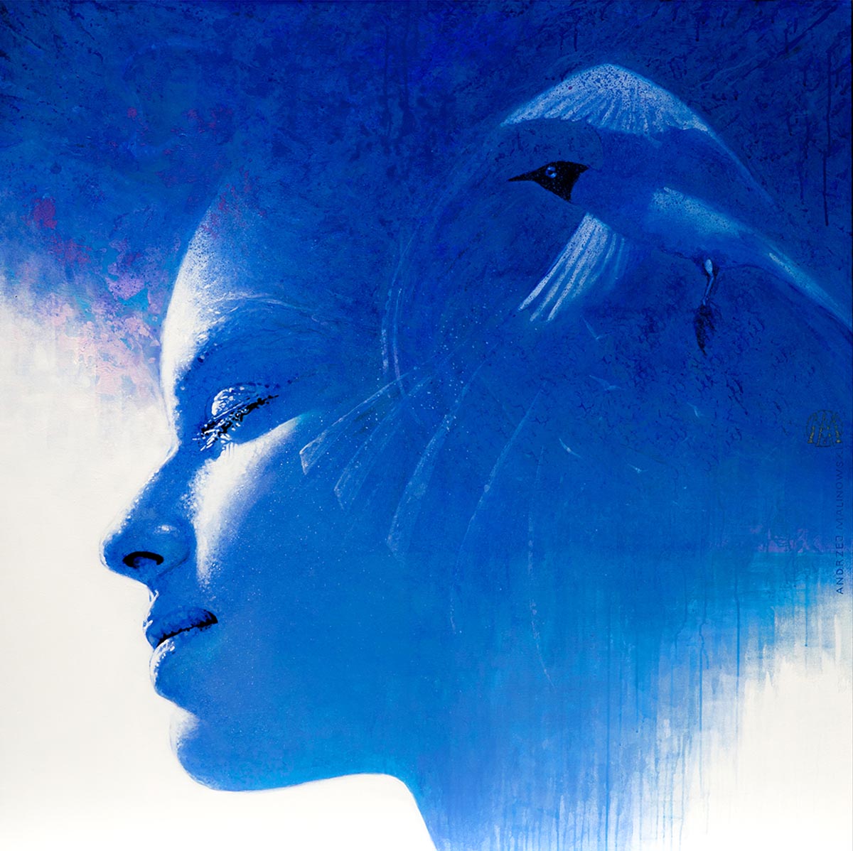 Image galerie