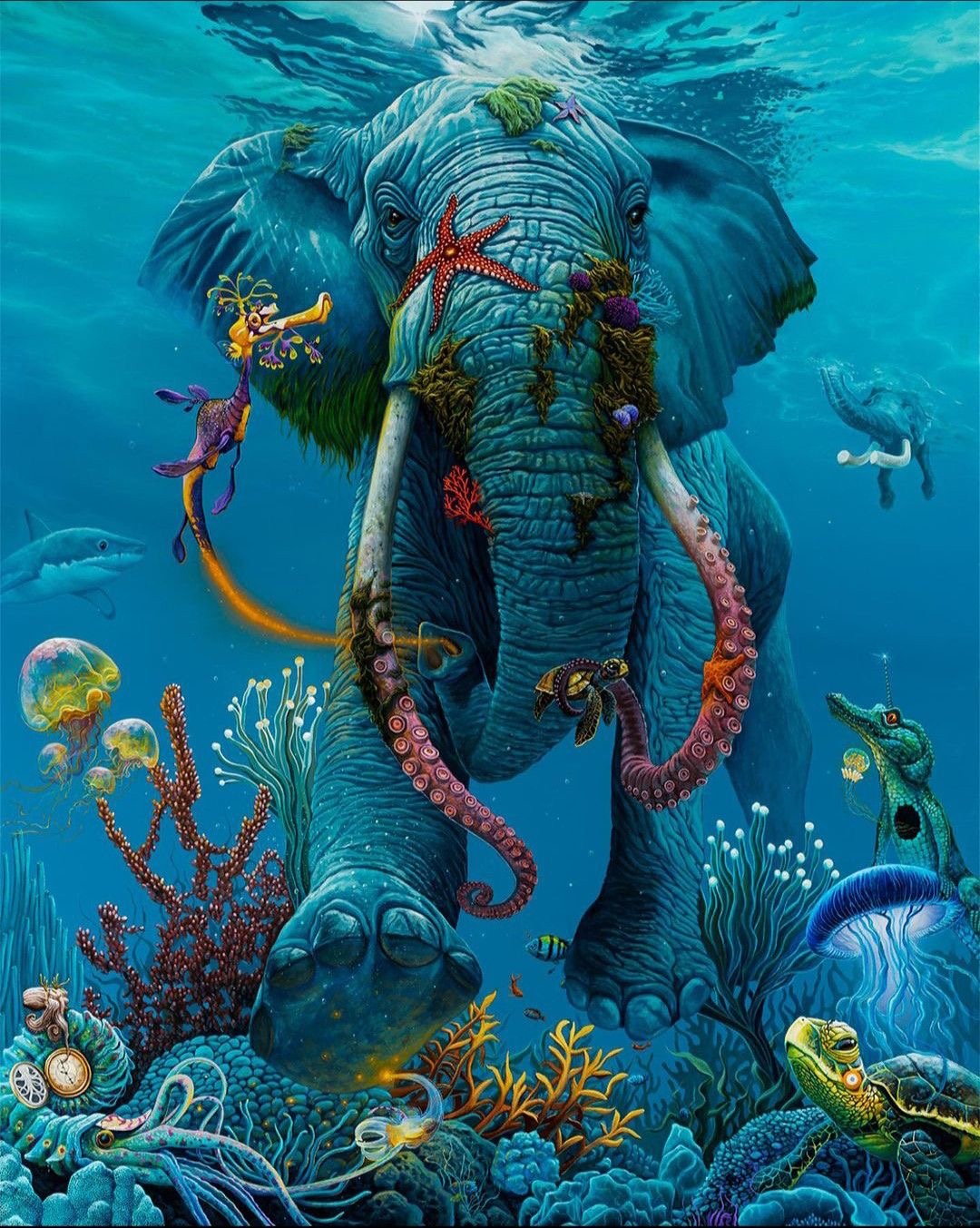Éléphant de mer