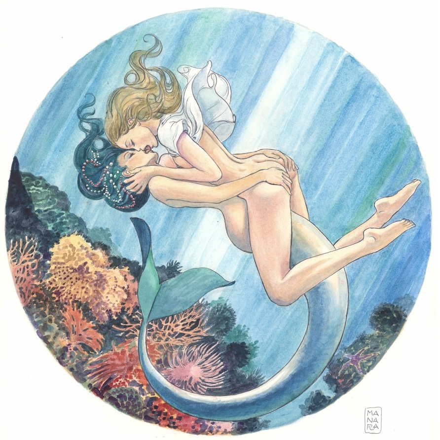 Image galerie