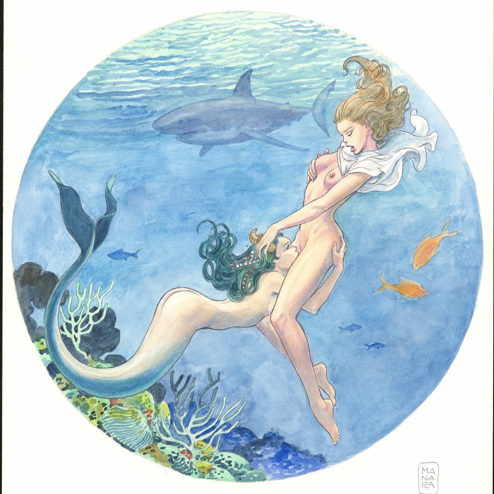Image galerie