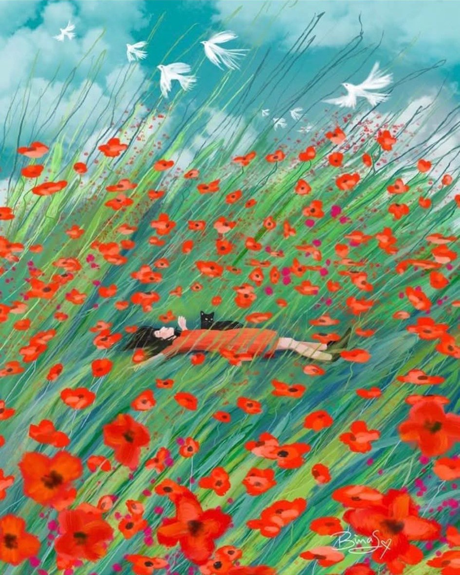 Ruby & Lino dans les coquelicots