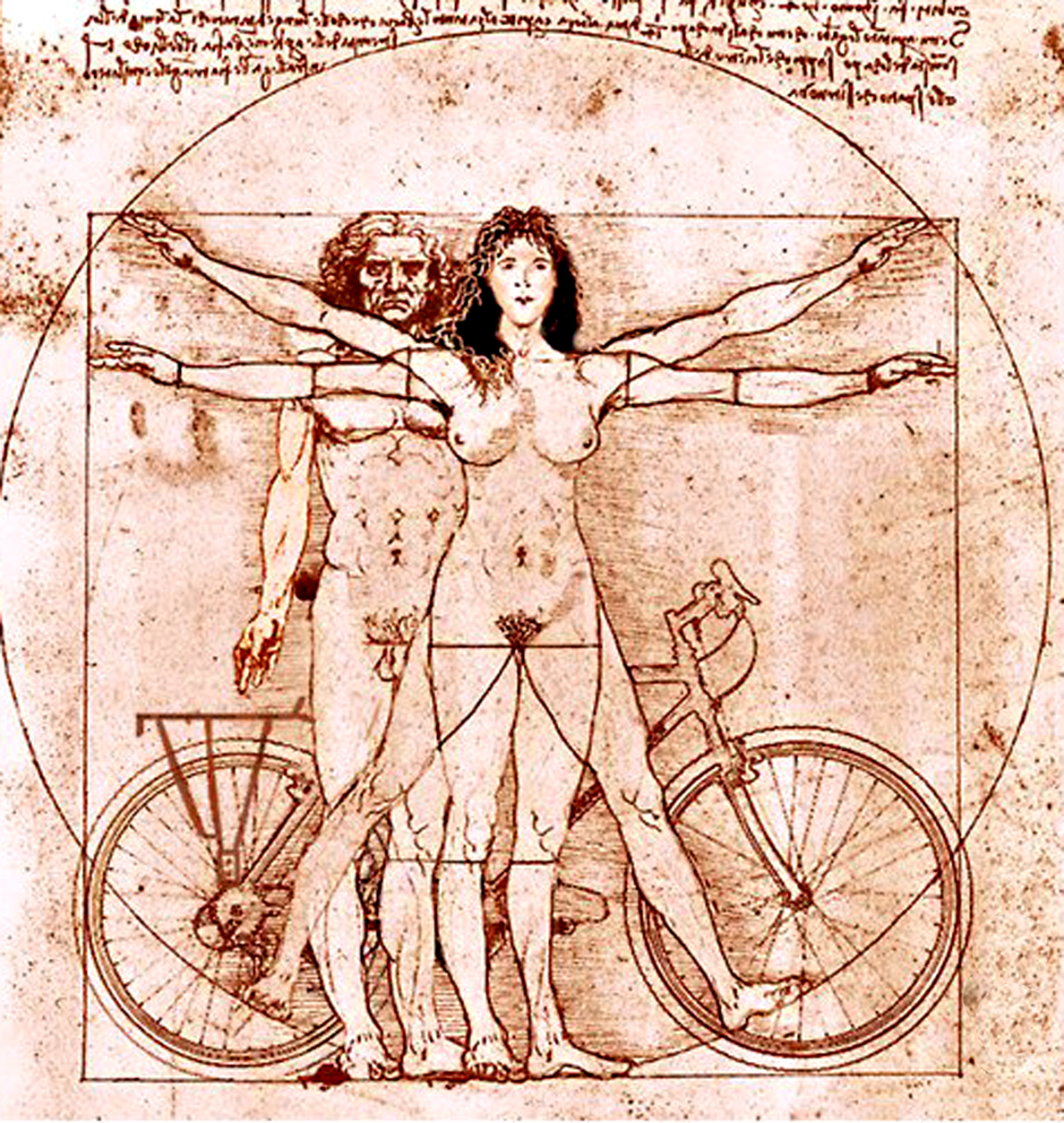 Le tandem de Vitruve