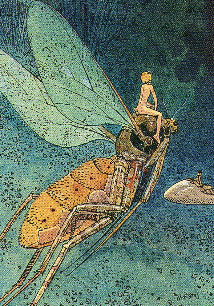 À cheval sur la nature