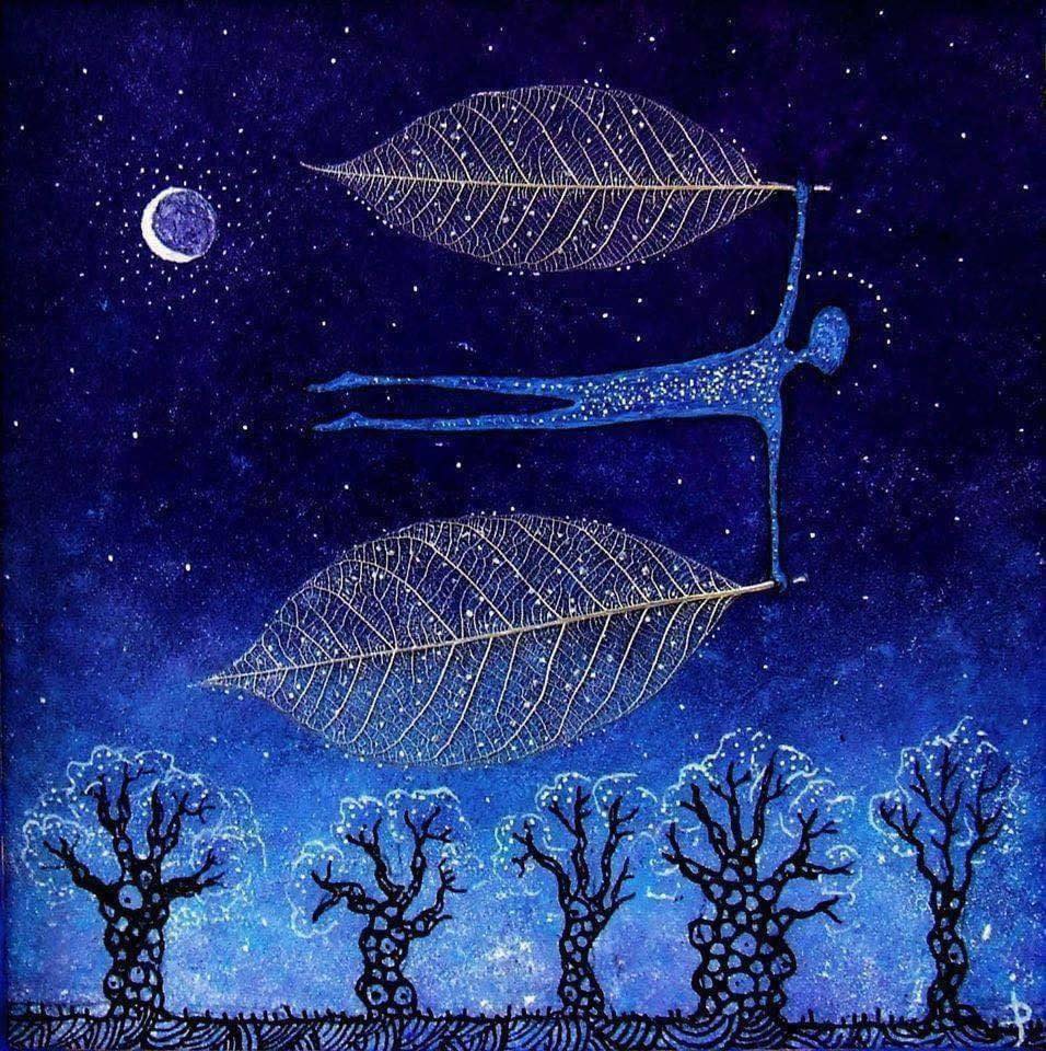 Vol au-dessus des règles