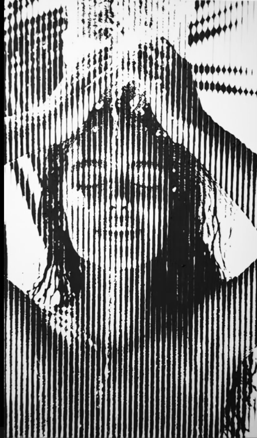 Image galerie
