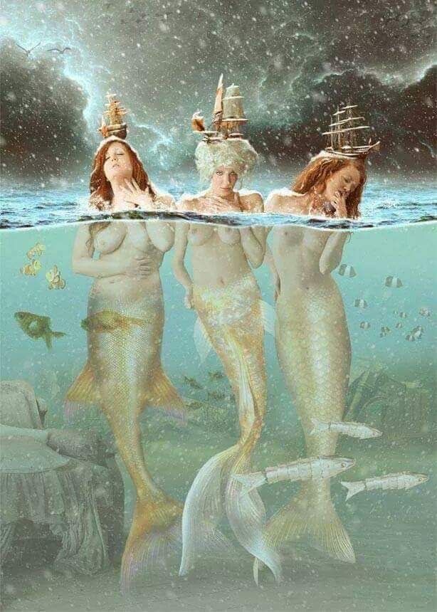 Les trois caravelles