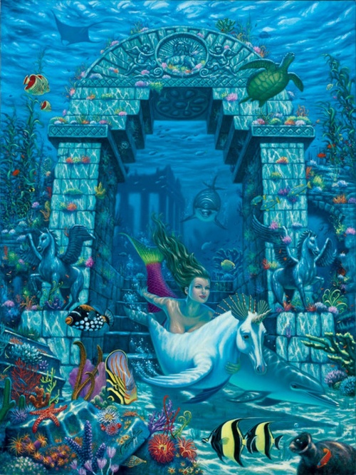 Image galerie