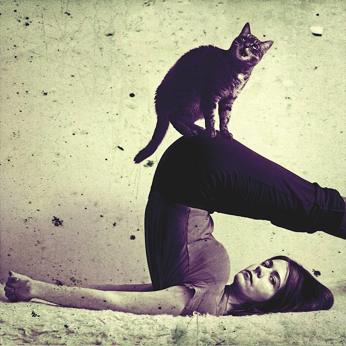 Ruby & Lino font du yoga