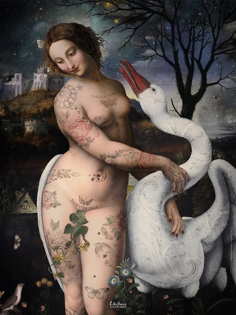 Image galerie
