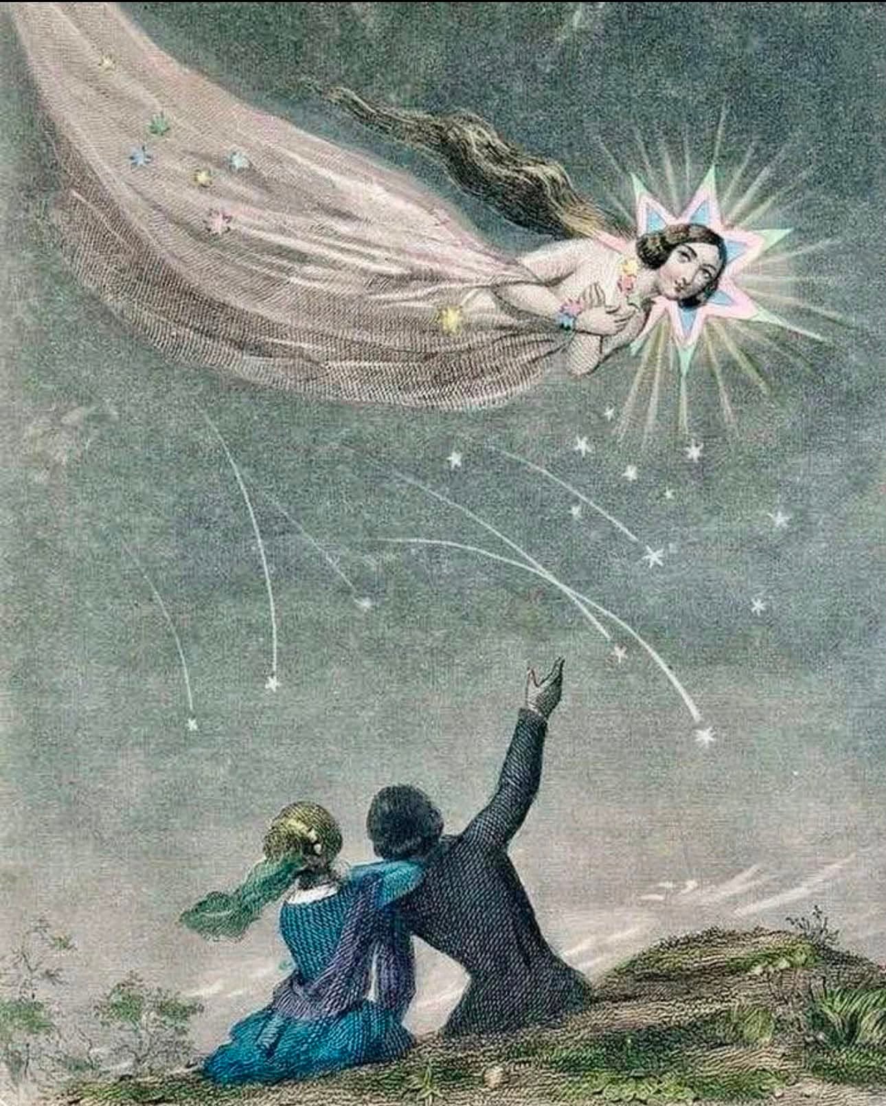 Semences d’étoiles filantes