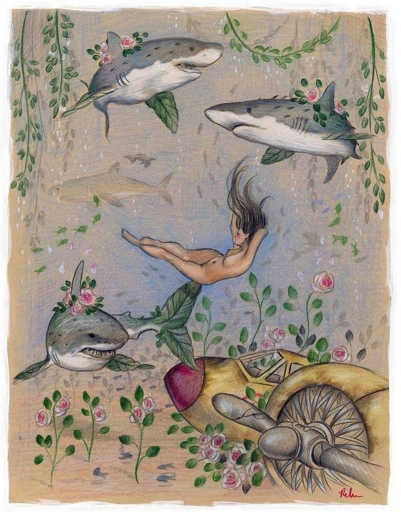 La sirène-requin